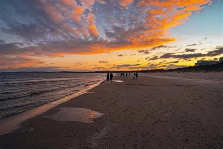 Celexa accutane and celexa tablet