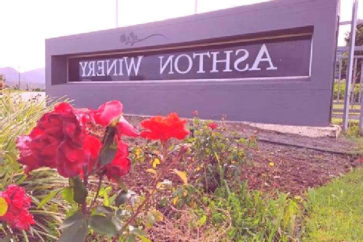 Celexa buy celexa online cheap pharmacy