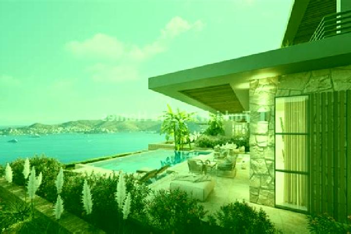 Celexa celexa for pain relief pills