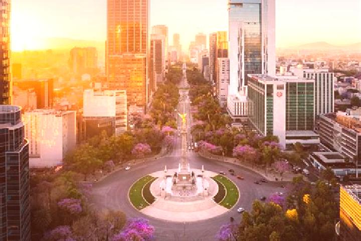 Celexa celexa hallucinations side effects pills
