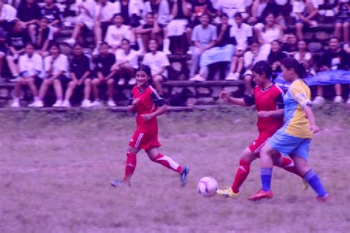 Celexa celexa prospect pills