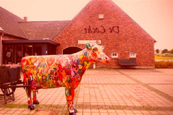 Celexa celexa vs lexapro for the elderly pharmacy
