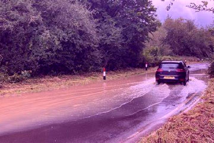 Celexa gaining weight on celexa pharmacy