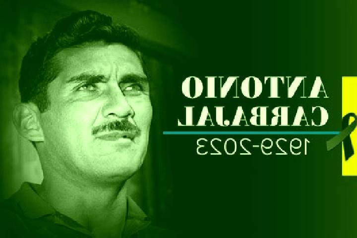 Celexa will you lose weight after stopping celexa medication