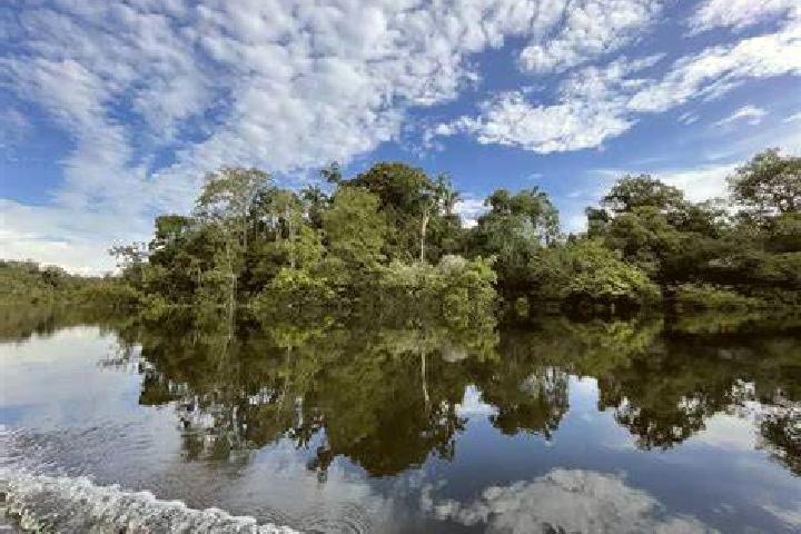 Champix after stopping champix side effects medication