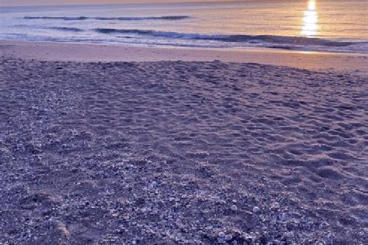 Champix champix varenicline price pills
