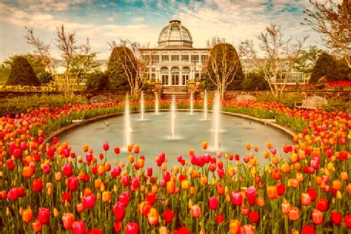 Champix how much is champix on pbs pills