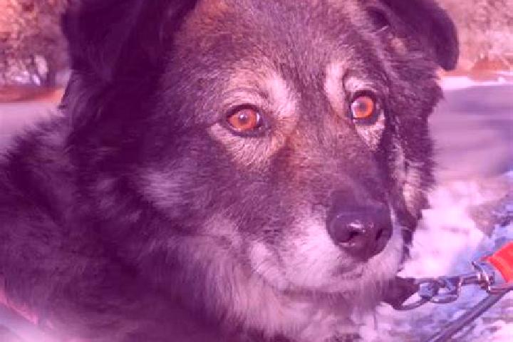 Champix when is it safe to stop champix tablet