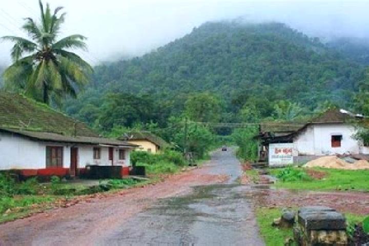 Cialis cialis 20 mg after prostatectomy tablet