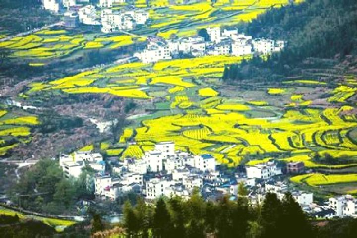 Cialis online cialis purchase pills