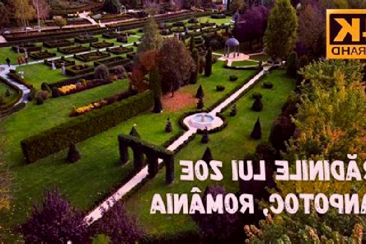 Dramamine medication