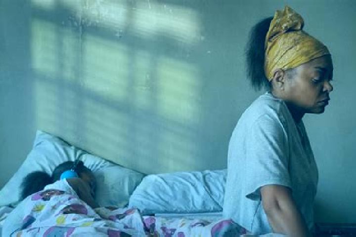 Flagyl can dogs take flagyl long term medication
