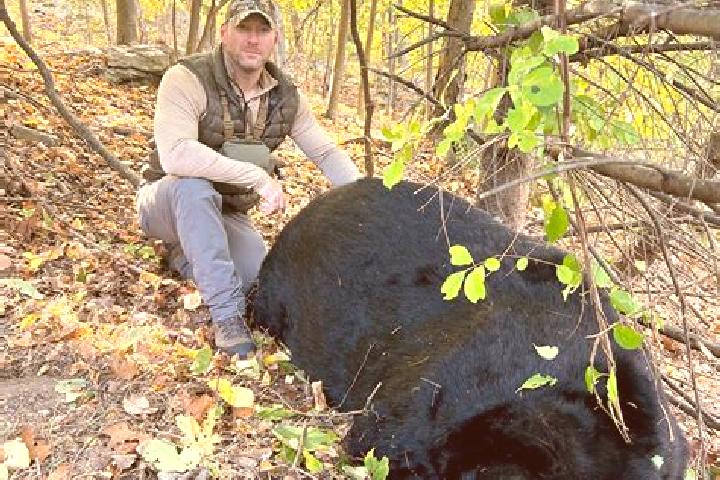 Flagyl clostridium difficile in dogs treatment flagyl medication