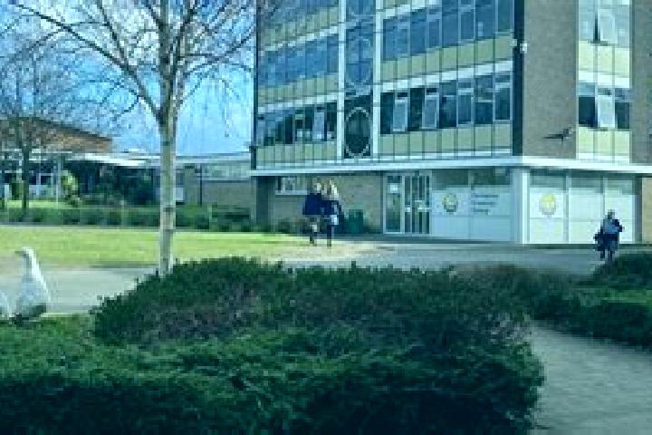 Flagyl flagyl for wound care pharmacy