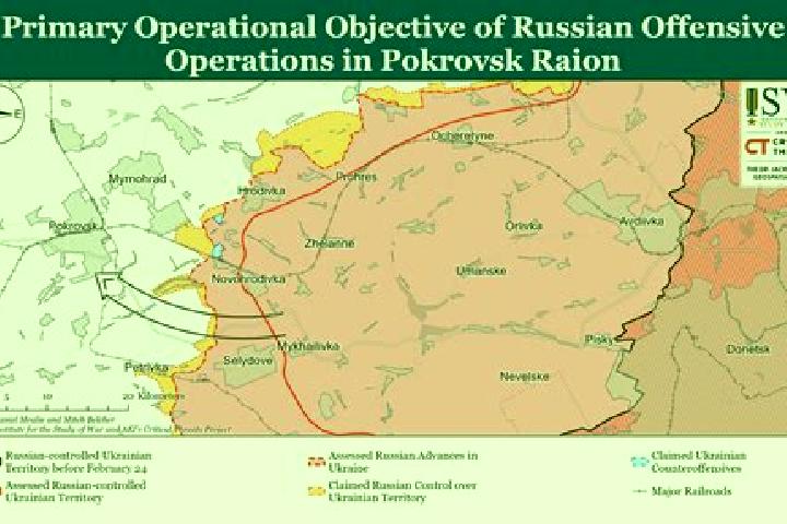 Flagyl flagyl overdose in birds medication