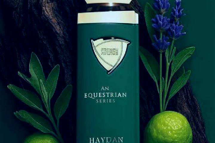 Hoodia pills