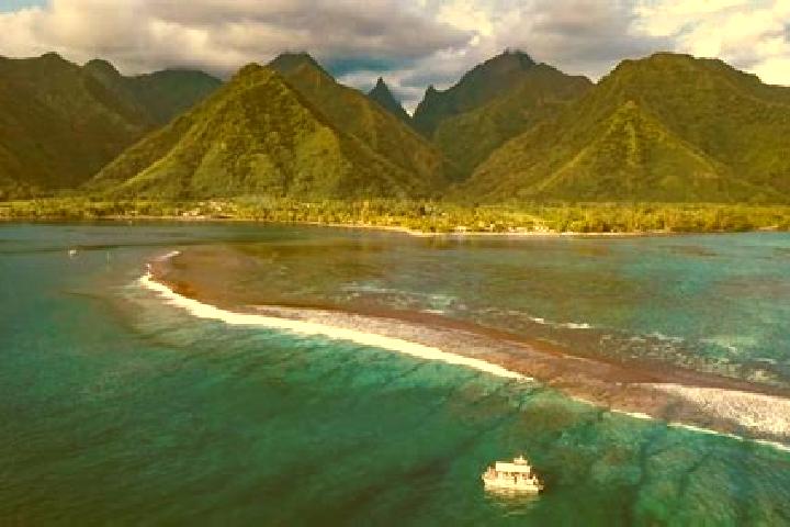 Kamagra k1st kamagra medication