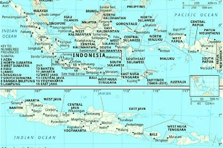 Kamagra kamagra 99.com medication