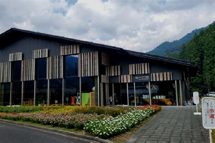 Kamagra kamagra oral jeely pharmacy
