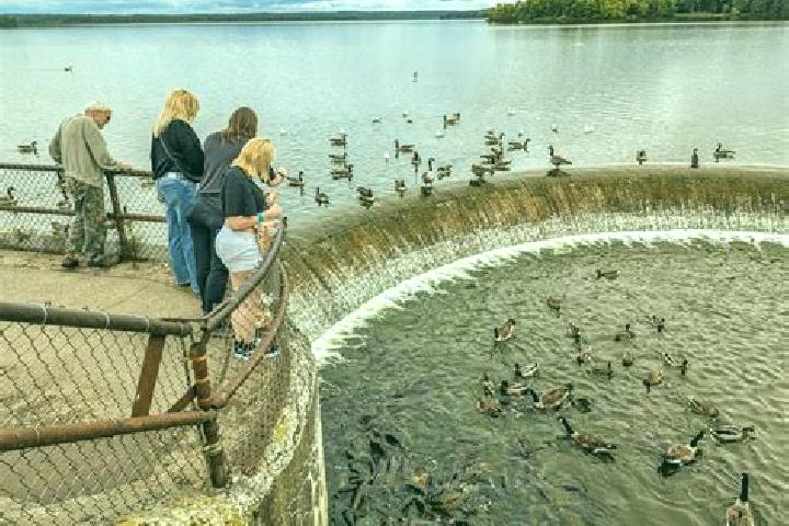 Kamagra kamagra pharmacy uk pharmacy
