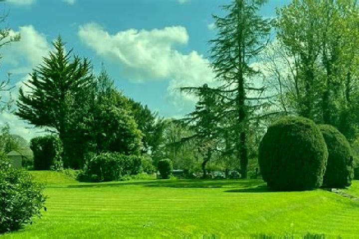 Kamagra sera uk ltd kamagra pills