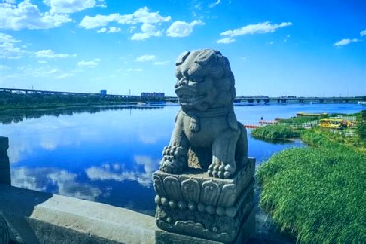 Kamagra sumeca kamagra pills