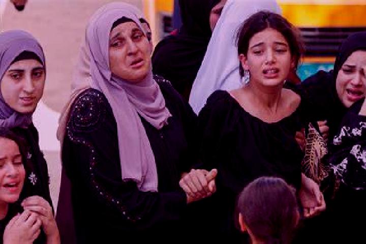 Lasix lasix dogs pharmacy