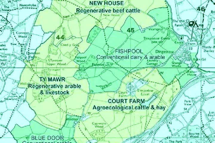 Levitra benefit of levitra pills