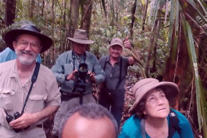 Levitra erection medication levitra pharmacy