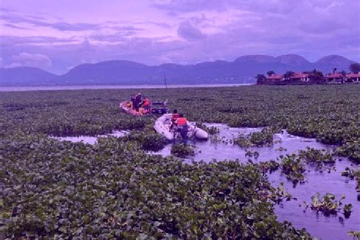Levitra levitra cost at walmart medication