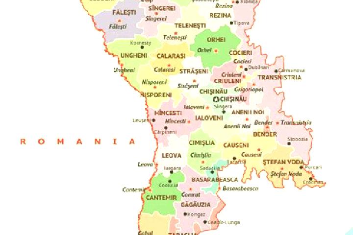 Levitra levitra drug card pills
