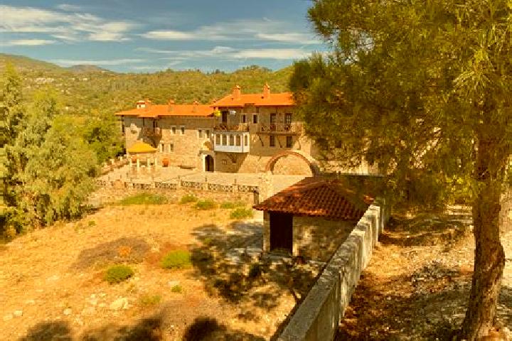 Levitra market share viagra cialis levitra medication