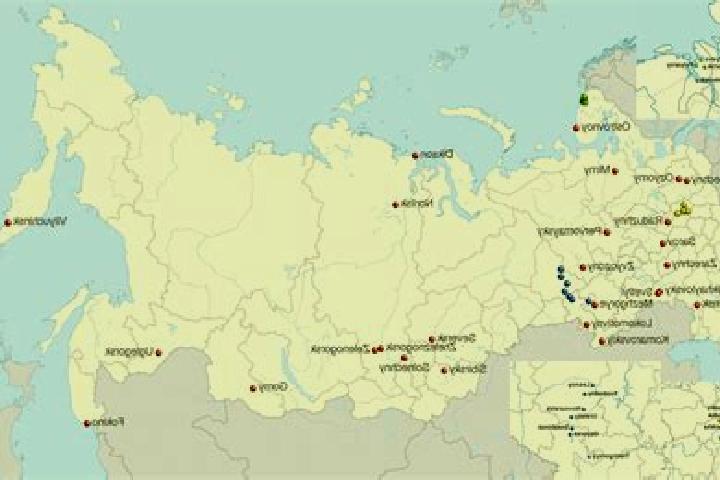 Neurontin neurontin on label uses pharmacy