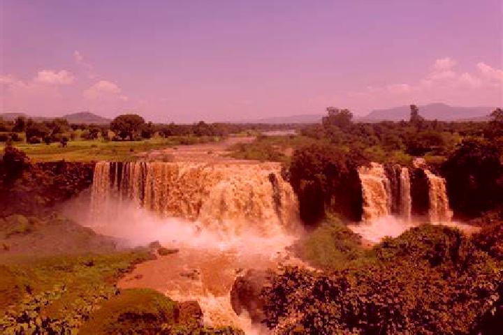 Neurontin neurontin snort pharmacy