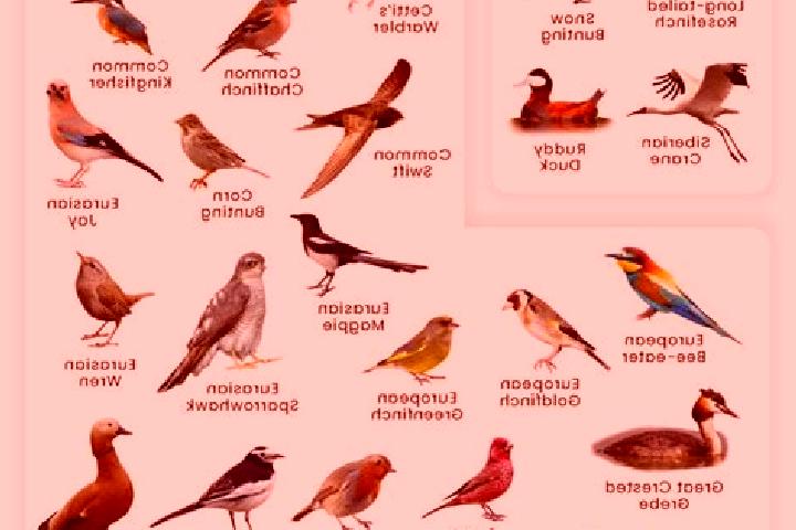Prednisolone do you have to wean off 6 days of prednisolone tablet