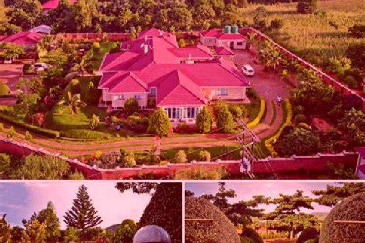 Prednisolone does prednisolone affect sexual function medication