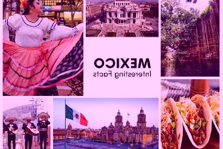 Prednisolone getting cat off prednisolone medication