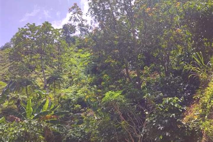 Prednisolone how long before prednisolone works medication