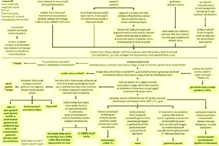 Prednisolone how long until prednisolone works medication