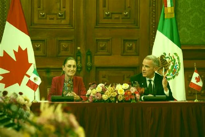 Prednisolone maintenance dose of prednisolone pharmacy