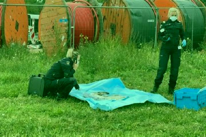 Prednisolone prednisolone 5mg 5ml solution medication
