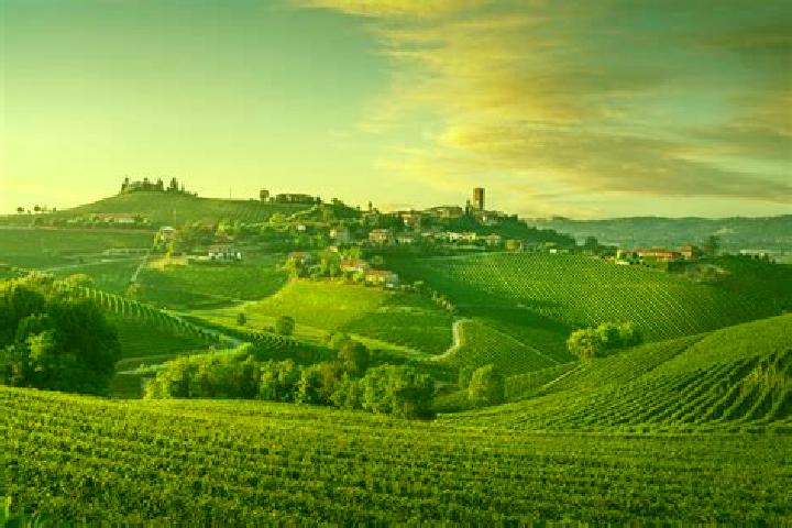 Prednisolone prednisolone acetate ophthalmic cost medication
