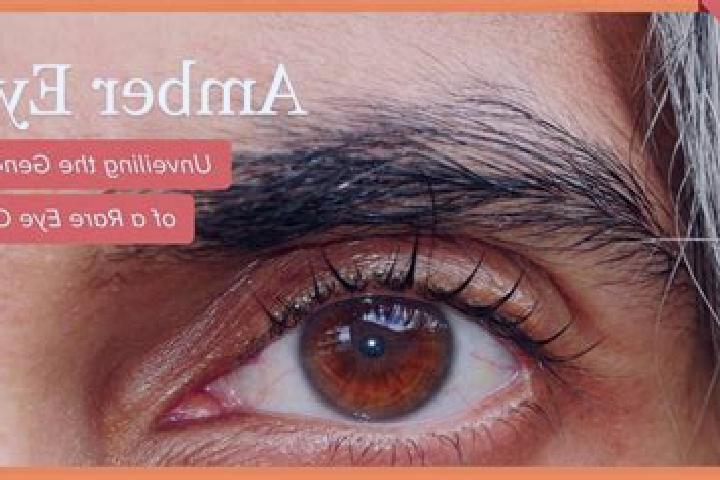 Prednisolone prednisolone administration tablet