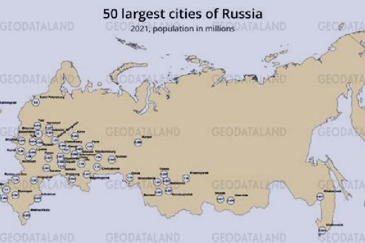 Prednisolone prednisolone cat lethargic pills
