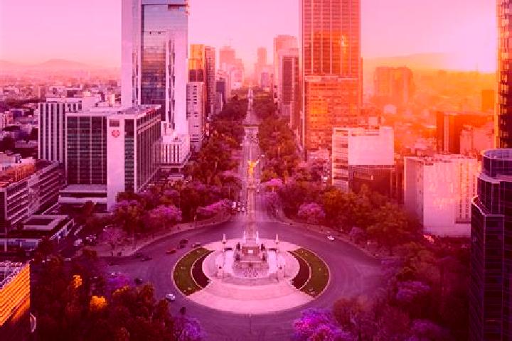 Prednisolone prednisolone cats kidney disease tablet