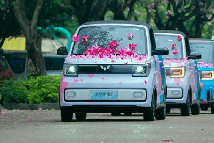 Prednisolone prednisolone dosage for puppies pharmacy