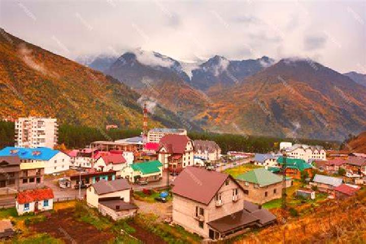 Prednisolone prednisolone injection dose for dogs pills