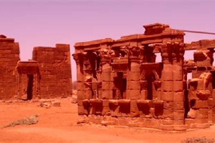Prednisolone prednisolone sodium phosphate oral solution 25mg 5ml pills