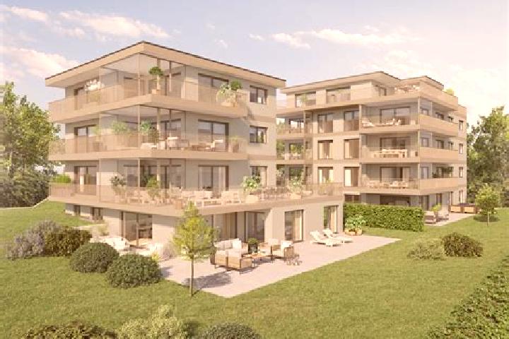 Prednisolone what is the best time to take prednisolone 5mg pills