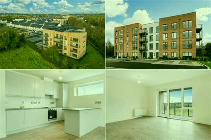 Propecia not wanting to take propecia after hair transplant medication